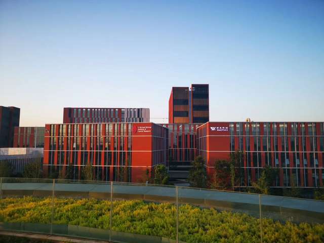 江西旋片式真空泵厂